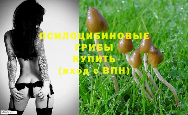 2c-b Богданович