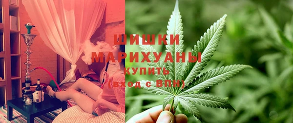 2c-b Богданович