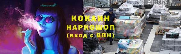 сатива Белокуриха